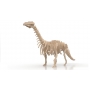 Векторный макет «Динозавр (6)»