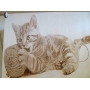 Векторный макет «Шкатулка с котом»