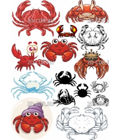 crab