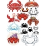 Векторный макет «crab»