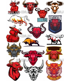 bulls