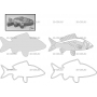 Векторный макет «Многослойное панно Рыба»