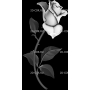 Изображение для гравировки «Розы (95)»