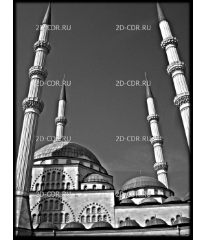 Мечеть (9)