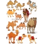 Векторный макет «camel»