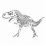 Векторный макет «Динозавр (3)»