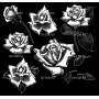 Изображение для гравировки «Розы (61)»