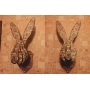 Векторный макет «Голова Кролик»