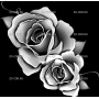 Изображение для гравировки «Розы (119)»