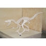 Векторный макет «Динозавр (24)»