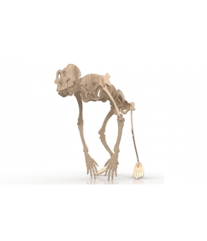 Горила скелет