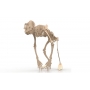 Векторный макет «Горила скелет»