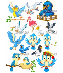 cartoon birds 