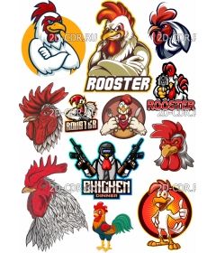 rooster