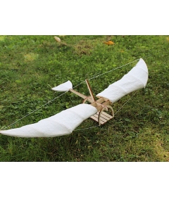 Leonardo da Vinci inspired glider