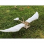 Векторный макет «Leonardo da Vinci inspired glider»