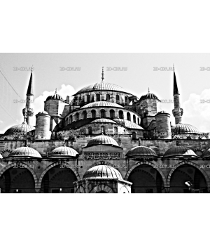 Мечеть (4)