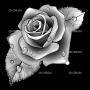 Изображение для гравировки «роза 2»