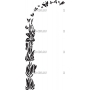 Векторный макет «Цветы и узоры (127)»