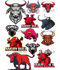 bulls