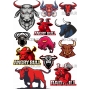 Векторный макет «bulls»