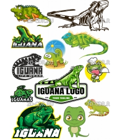 iguana