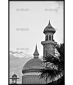 Мечеть (7)
