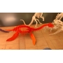 Векторный макет «Плезиозавр»