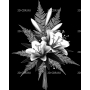Изображение для гравировки «Букет с лилииями»
