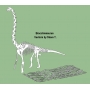 Векторный макет «Динозавр (14)»