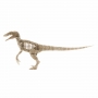 Векторный макет «Динозавр Raptor»