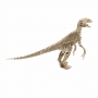Векторный макет «Динозавр Raptor»