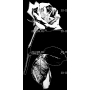Изображение для гравировки «Розы (153)»