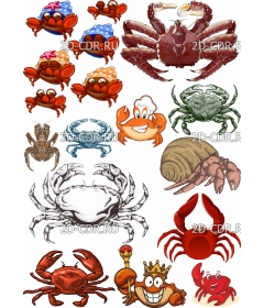 crab