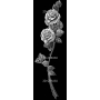 Изображение для гравировки «Ветвь с розами»