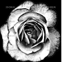 Изображение для гравировки «Розы (83)»