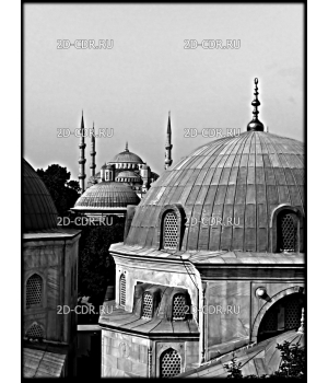 Мечеть (5)