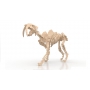 Векторный макет «Динозавр (4)»