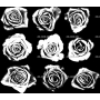 Изображение для гравировки «Розы (55)»