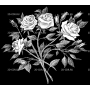 Изображение для гравировки «Розы (22)»