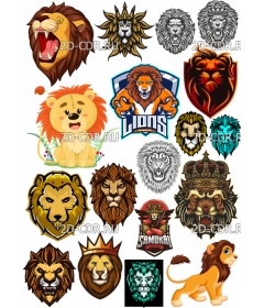 lions