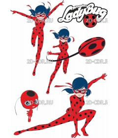 lady bug 