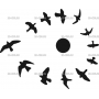 Векторный макет «Часы птицы»