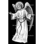 Изображение для гравировки «Ангел (40)»