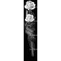 Изображение для гравировки «Розы (31)»