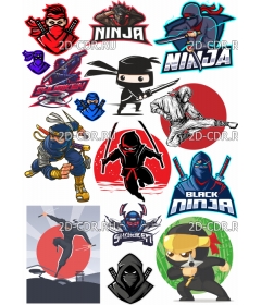 ninja