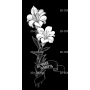 Изображение для гравировки «Цветы Лилии»