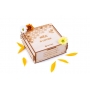 Векторный макет «Коробочка Мёд»