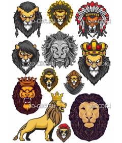 lions