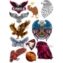 Векторный макет «eagles»